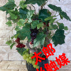 光触媒　人工観葉植物　ウォールグリーン　フェイクグリーン　葡萄マスカット5745 1枚目の画像