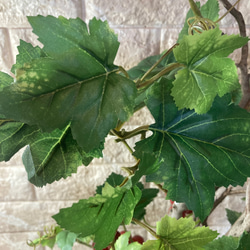 光触媒　人工観葉植物　ウォールグリーン　フェイクグリーン　葡萄マスカット5745 9枚目の画像