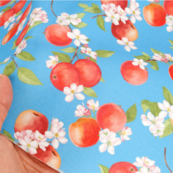 韓国製 果物柄 りんご柄 りんごとりんごの花 生地 コットン100％シーチング Apple Flower 9枚目の画像
