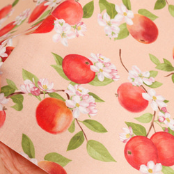 韓国製 果物柄 りんご柄 りんごとりんごの花 生地 コットン100％シーチング Apple Flower 5枚目の画像