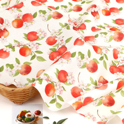 韓国製 果物柄 りんご柄 りんごとりんごの花 生地 コットン100％シーチング Apple Flower 12枚目の画像