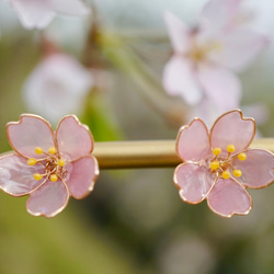 桜のピアス・イヤリング 2枚目の画像