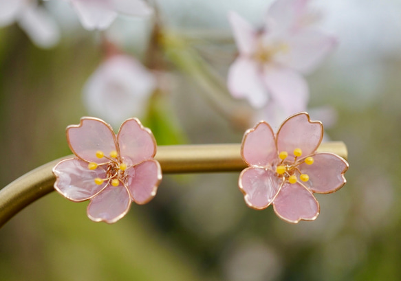 桜のピアス・イヤリング 2枚目の画像