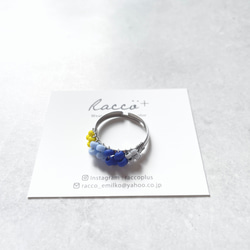 colorful ring ② 316サージカルステンレスリング  サイズフリー 2枚目の画像