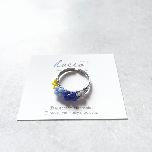 colorful ring ② 316サージカルステンレスリング  サイズフリー 2枚目の画像