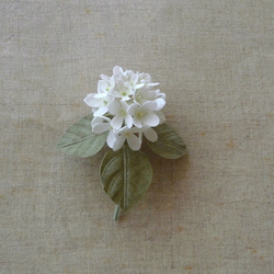 リネンの花　小さなアナベルのコサージュ 1枚目の画像