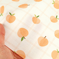 韓国製 果物柄 桃柄 チェックピーチ 生地 コットン100％シーチング Check Peach 5枚目の画像