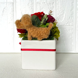 おすわり　わんちゃん　＆　プリザーブドフラワー（赤色系）　/　羊毛フェルト　カーネーション　バラ　犬 4枚目の画像