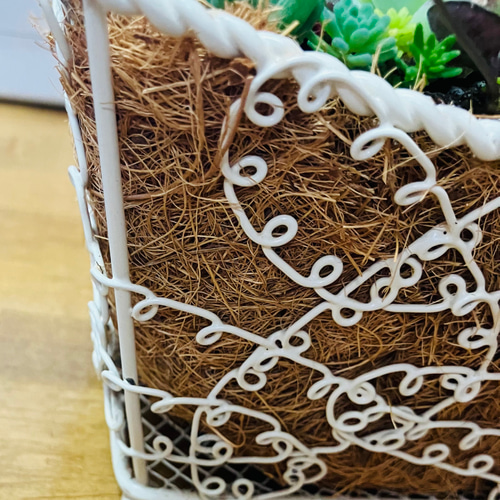 55）売り切れました❤︎バスケットに多肉植物寄せ植えそのまま飾れる