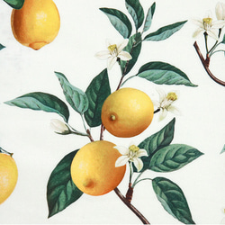 韓国製 果物柄 レモン柄 水彩画風のレモン 生地 コットン100％シーチング Water Lemon 3枚目の画像