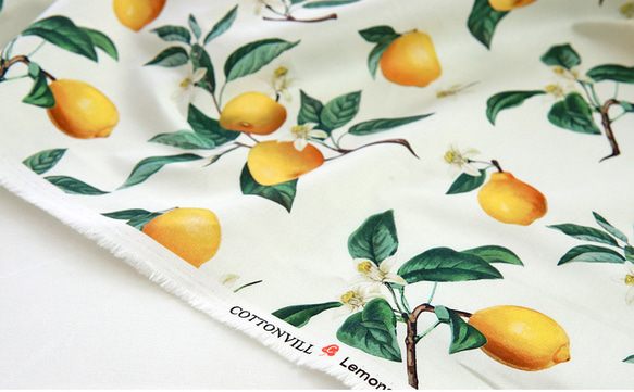 韓国製 果物柄 レモン柄 水彩画風のレモン 生地 コットン100％シーチング Water Lemon 5枚目の画像
