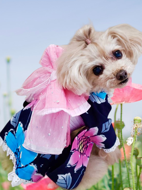 短毛(フラワー)ジューンブライドシュシュ、わんちゃん猫ちゃん用 短毛