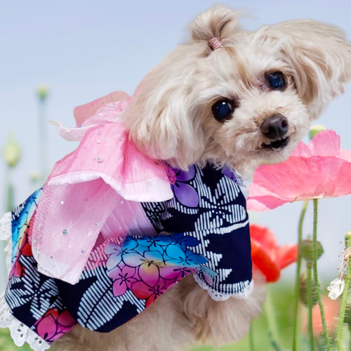 ♡ハンドメイド♡犬服♡紫陽花コサージュワンピース♡ピンク cw25ss0182_1.jpg