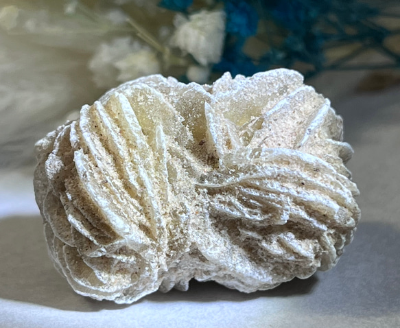 特大✨【知性の石】砂漠の薔薇デザートローズセレナイトラフストーン原石