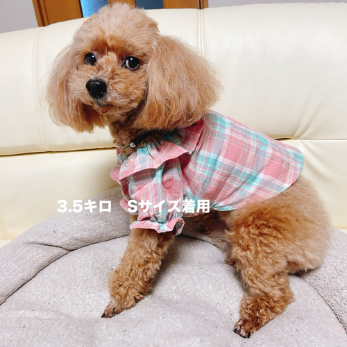 わんこ服ハンドメイドちょこっとお出かけブラウス♪Mサイズ