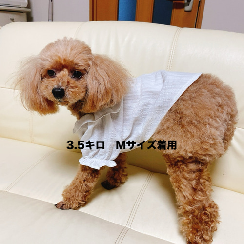 わんこ服ハンドメイド　ちょこっとお出かけブラウス♪Mサイズ わんこ服ハンドメイドちょこっとお出かけブラウス♪Mサイズ