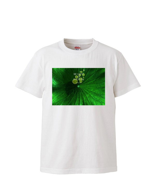 【受注生産（毎月１の付く日発注）高品質 癒しグリーンの蓮のグラフィックアートセレブTシャツ お洒落 1枚目の画像