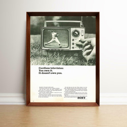 アメリカ1970年代　ポスター額装付き 455ae5277a8f98da2ca3fb33c47b29