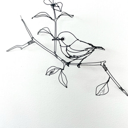 エキゾチックショートヘア　/ ワイヤーアート　ワイヤークラフト エキゾチックショートヘア 猫 / ワイヤーアート ワイヤークラフト