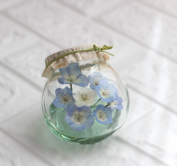 ❤クリーマ限定【ネモフィラ】生花のような枯れない本物のお花/ネコ瓶