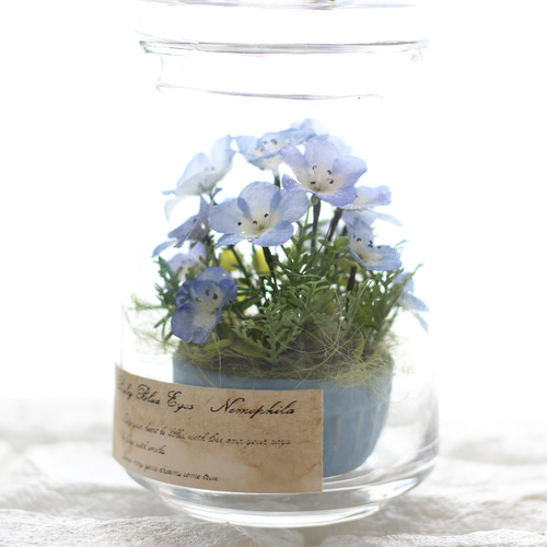 ❤【ネモフィラ】生花のような枯れない本物のお花/ジャーボトル