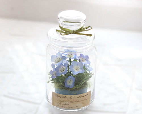 c0d0dd8f1f74b1461cf08619eb6ea7