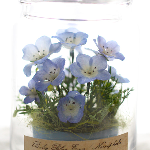 ❤【ネモフィラ】生花のような枯れない本物のお花/ジャーボトル