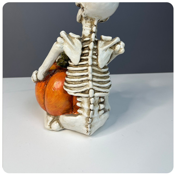 骸骨 ガイコツ 骨 模型 骨格 カボチャ 南瓜 全身 スカル ドクロ 置物 ハロウィン 飾り オブジェ ch-958 5枚目の画像