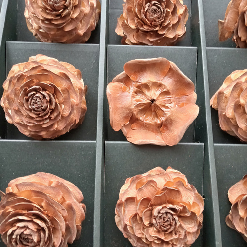 大きなシダーローズ12個 その他素材 花結び 通販 17644450｜Creema