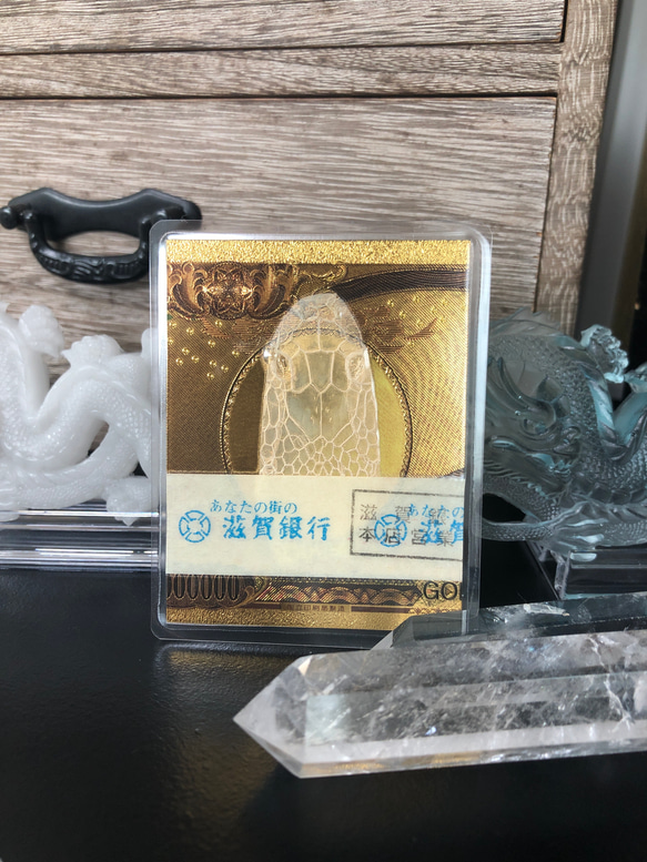 mica*さまオーダー＊白蛇抜け殻入りお守りリング＊5点