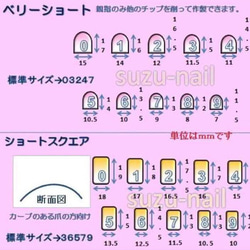 新作⭐︎ 魅惑のマグネットネイル〜ネイルチップ/短め　対応 7枚目の画像