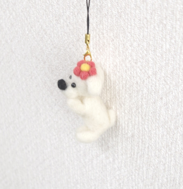 羊毛フェルト【犬】花飾りマルチーズストラップ(キーホルダー) 3枚目の画像