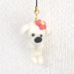 羊毛フェルト【犬】花飾りマルチーズストラップ(キーホルダー) 1枚目の画像