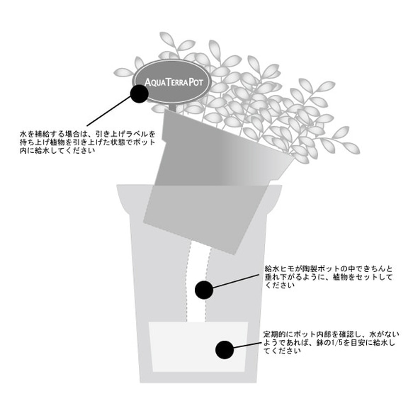 アクアテラポット/カラーブリキ ハンギング　インテリア おしゃれ 室内 初心者おすすめ 育てやすい 5枚目の画像