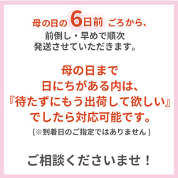 超超お得！な3種セット【赤＋ピンク＋あと1色】生花鉢植え★金賞農家直送・大ぶり母の日カーネーション★5号鉢 8枚目の画像