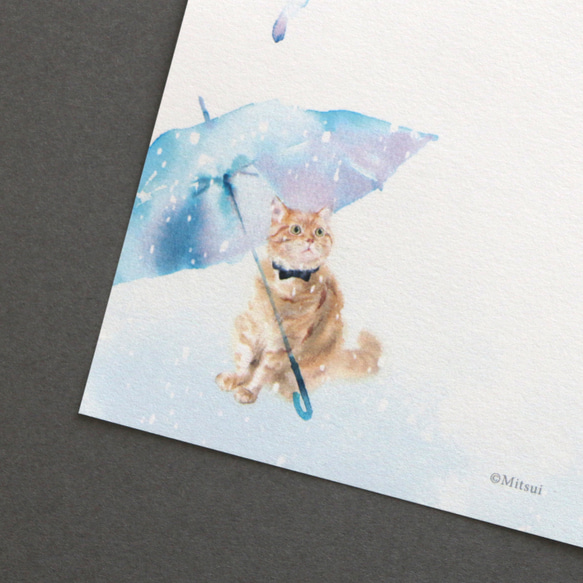 【便箋のみ】猫の雨やどり 2枚目の画像