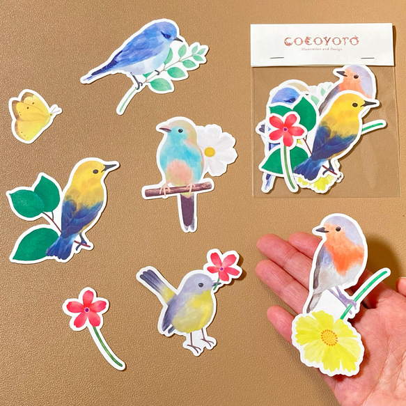 小鳥のカード［mini］7種セットLovely Birding　 8枚目の画像