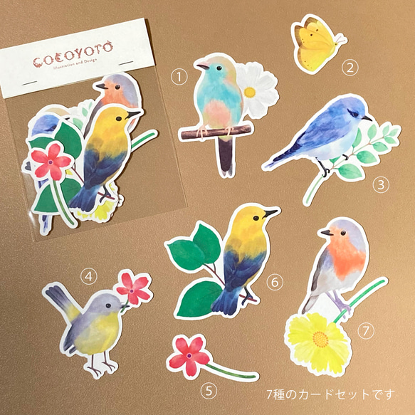 小鳥のカード［mini］7種セットLovely Birding　 5枚目の画像