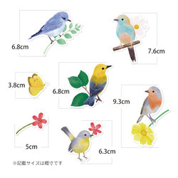 小鳥のカード［mini］7種セットLovely Birding　 6枚目の画像