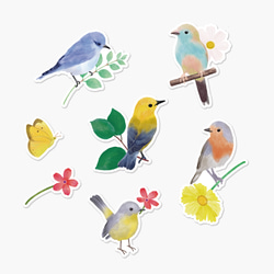 小鳥のカード［mini］7種セットLovely Birding　 1枚目の画像