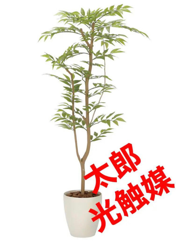 光触媒　人工観葉植物　ウォールグリーン　フェイクグリーン　ソヨゴ1.3 3枚目の画像