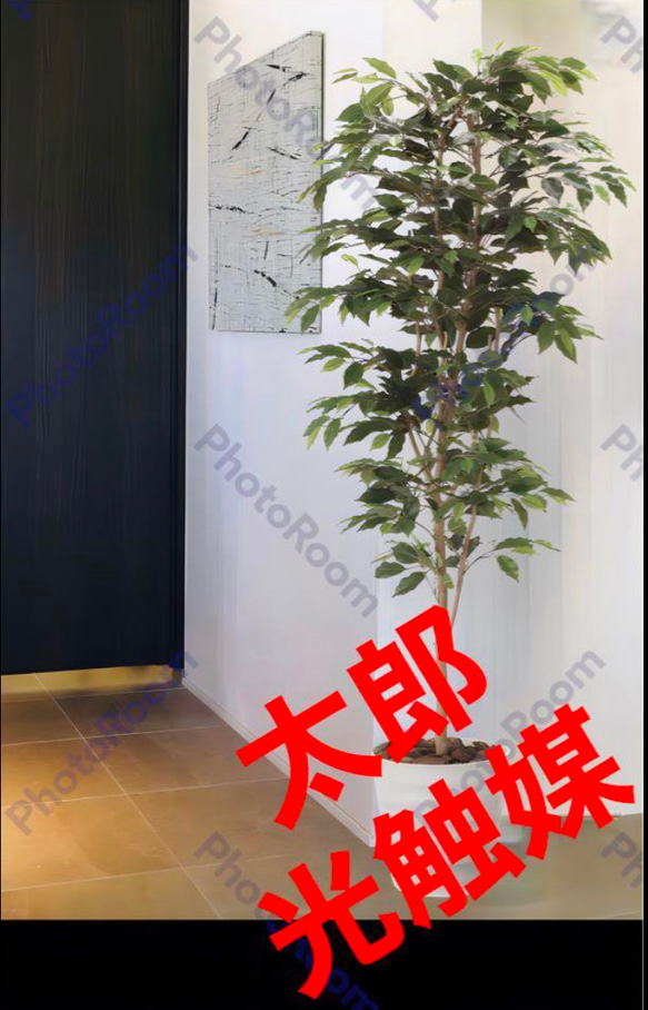 光触媒　人工観葉植物　ウォールグリーン　フェイクグリーン　ベンジャミン1.8jg 1枚目の画像