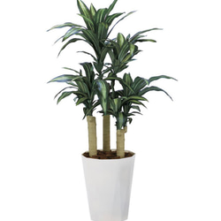 光触媒　人工観葉植物　ウォールグリーン　フェイクグリーン　幸福の木1.3 4枚目の画像
