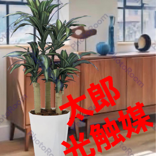 光触媒 人工観葉植物 ウォールグリーン フェイクグリーン ねむの木1.3