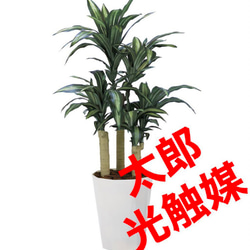 光触媒　人工観葉植物　ウォールグリーン　フェイクグリーン　幸福の木1.3 3枚目の画像