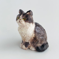 ハチワレ猫　（hachiware cat） 4枚目の画像