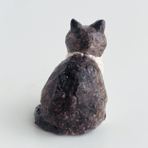 ハチワレ猫　（hachiware cat） 3枚目の画像