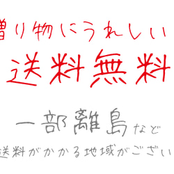 2024 母の日 プレゼント カーネーション ミニ リース プリザーブドフラワー ドライ フラワー 花 6枚目の画像