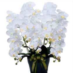 光触媒　人工観葉植物　ウォールグリーン　フェイクグリーン　ロイヤル胡蝶蘭w 4枚目の画像