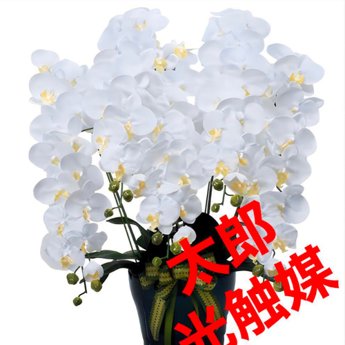 光触媒 人工観葉植物 ウォールグリーン フェイクグリーン ロイヤル胡蝶